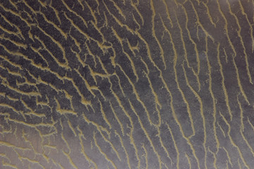 Abstract Textures Background. Sewage Sludge. Abstract Pattern Background With A Lot Of Copy Space For Text.
