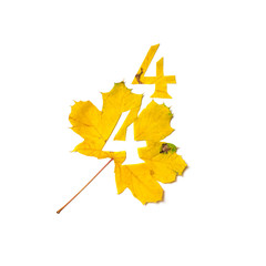 Figure 4 is cut from yellow maple leaf