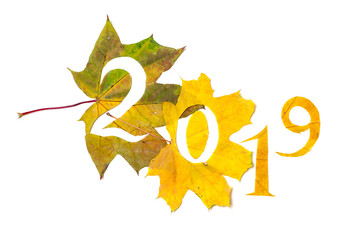 2019. figures carved from yellow maple leaves