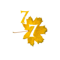 Figure7 is cut from yellow maple leaf