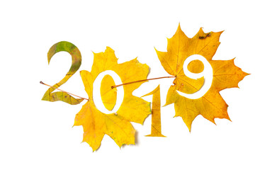 2019. figures carved from yellow maple leaves