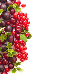  Different berries on a white background