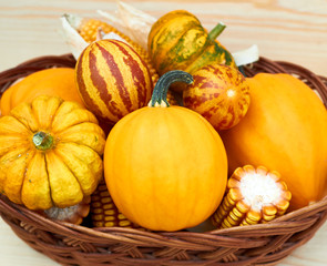 Pumpkins, vietnamese melons, indian corn laying in the wattled basket on wooden background, harvest concept, closeup, crop