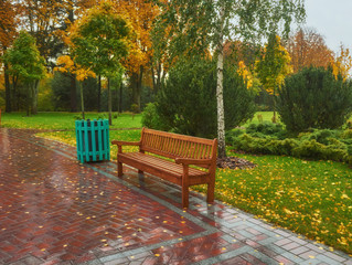 Fototapeta premium Autumn park bench, rainy texture background.