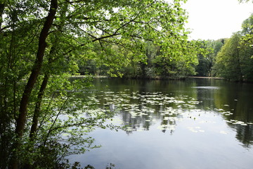 Kesselbruchweiher bei Frankfurt