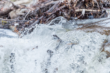water spout
