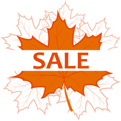 Autumn sale banner with colorful maple leaves