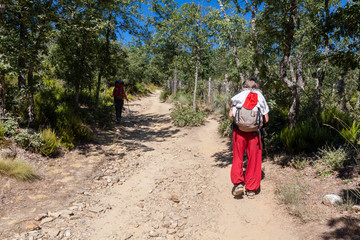 Camino de Santiago Spain