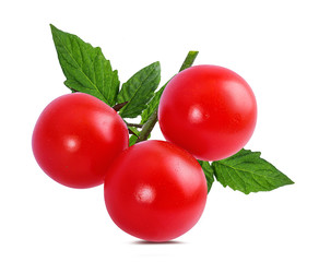 Fresh tomato isolated on white background with clipping path