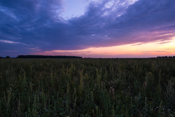 Obraz premium Aunset over a field