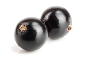 two black currant isolated on white background
