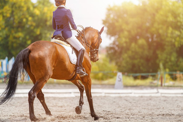 Young girl on bay horse performing her dressage test