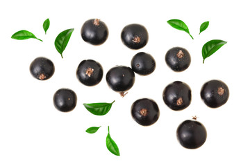 black currant isolated on white background. Top view. Flat lay pattern
