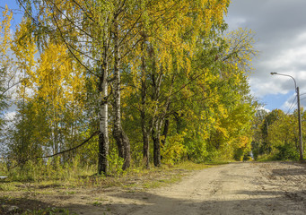 Obraz premium Sunny day, Golden autumn.