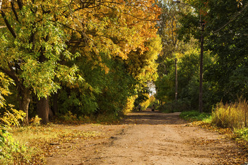 Sunny day, Golden autumn.