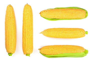 ear of corn isolated on a white background. Top view. Set or collection