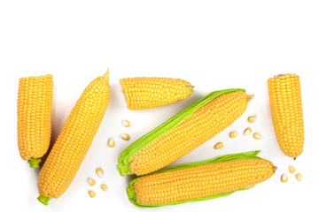 ear of corn isolated on a white background with copy space for your text. Top view. Set or collection