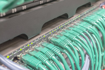 Light green patch cord internet cables connected