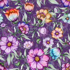 Beautiful colorful cosmos flowers with leaves on purple background. Seamless floral pattern.  Watercolor painting. Hand painted botanical illustration
