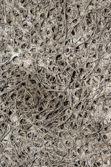 A lifeless land, craquelure