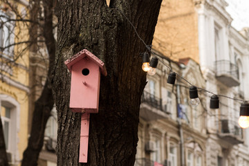 Pink birdhouse. A birdhouse in the city.