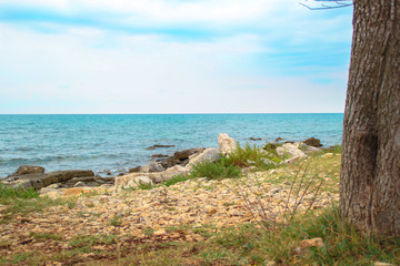 Type of Croatia. Adriatic Sea The rocky shore of the city of Umag