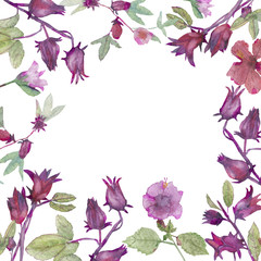 Hibiscus flowers and fruits hand-painted border with watercolor on white background.