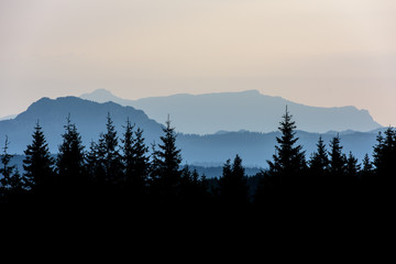 Forest Mountain Range Scene at Sunrise. Mountain panoramic landscape.
