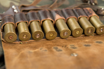 hunting cartridges, cartridges on white background, hunting ammunition	