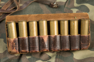 hunting cartridges, cartridges on white background, hunting ammunition	