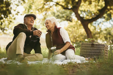 Senior couple sharing few precious memories on picnic - obrazy, fototapety, plakaty