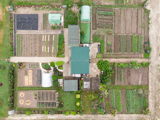 Vegetable Garden from above