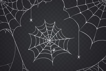 Scary spider web vector illustration. White cobweb silhouette isolated on dark background. Spooky halloween decoration element for your design. Eps 10.