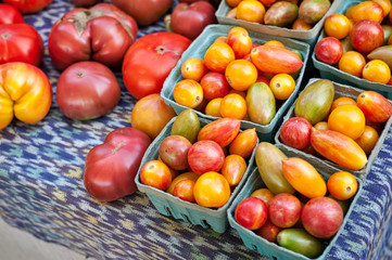 Assorted tomatoes on sale at a farmers market. 