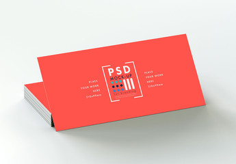 DL Flyer Mockup on Gray Background