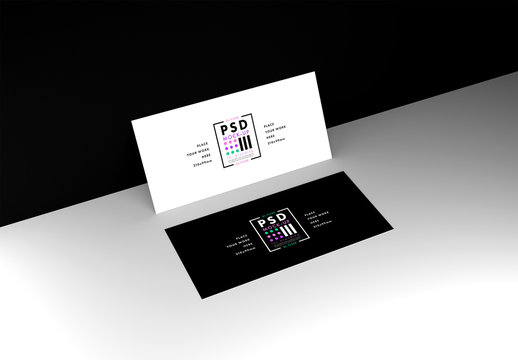 DL Flyer Mockup on Black and White Background