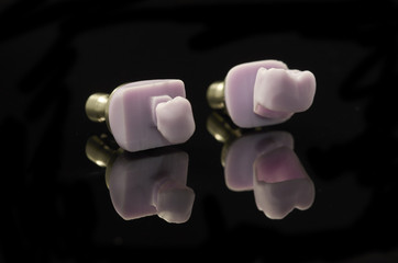 Two molars of lithium Disilicate glass-ceramic block for the CAD CAM technology.
