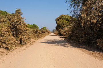 Brazilian dirt road in perspective