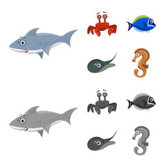 Isolated object of sea and animal icon. Set of sea and marine stock symbol for web.