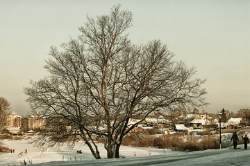 Fototapeta na wymiar city winter alley tree