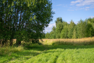 Green field road