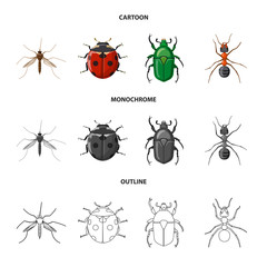 Isolated object of insect and fly symbol. Collection of insect and element stock vector illustration.