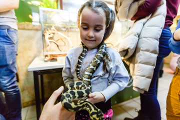 little girl with a snake. Snakes in a terrarium.