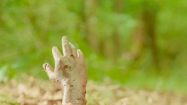 Concept Quicksand - Man Hand Sticking Out From Quagmire