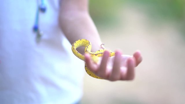 Blonde blue eyes girl has a snake in her hands.
