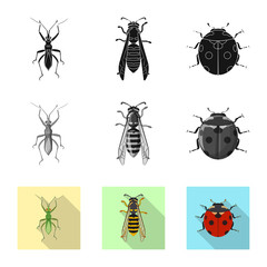 Vector illustration of insect and fly logo. Set of insect and element vector icon for stock.