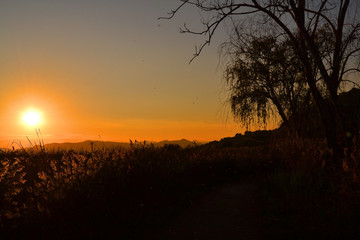 Atardecer