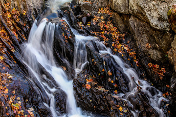 Autumn little waterfalls with leaves