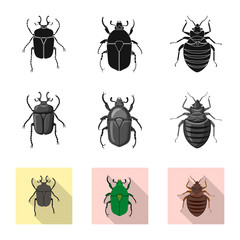 Isolated object of insect and fly icon. Collection of insect and element stock symbol for web.