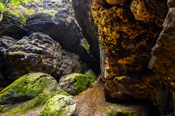 Saxon Switzerland, where the rocks speak their own language and the trees grow into the sky as if they were reaching for the stars! Here you can walk in the footsteps of Caspar David Friedrich 